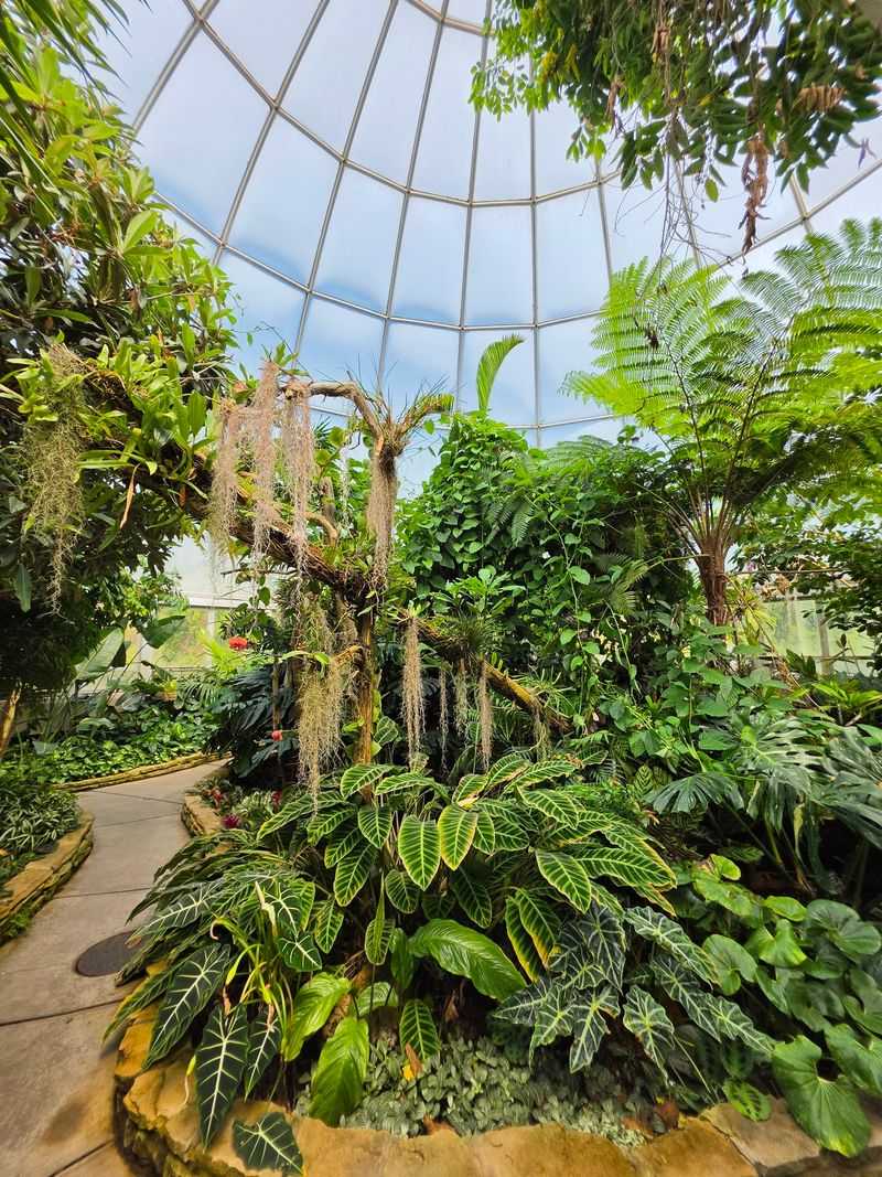 Three Climates Under One Glass Roof