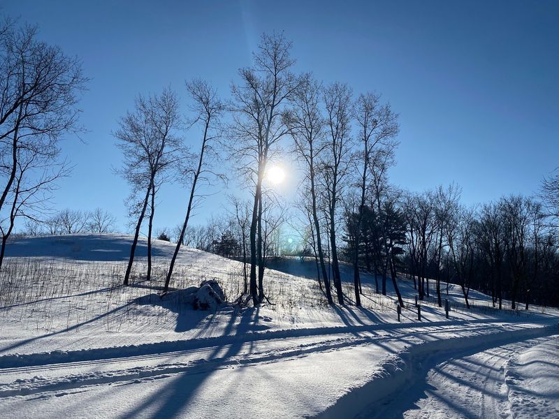 Thrilling Sledding Hill Fun in the Winter Months