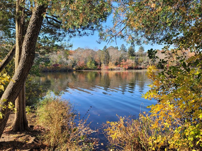 Thundergust Lake: A Quieter Alternative Worth Exploring