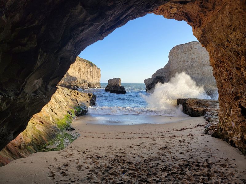 Tide Pools Full of Hidden Life
