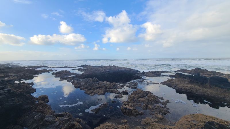 Tide Pools That Change By The Hour