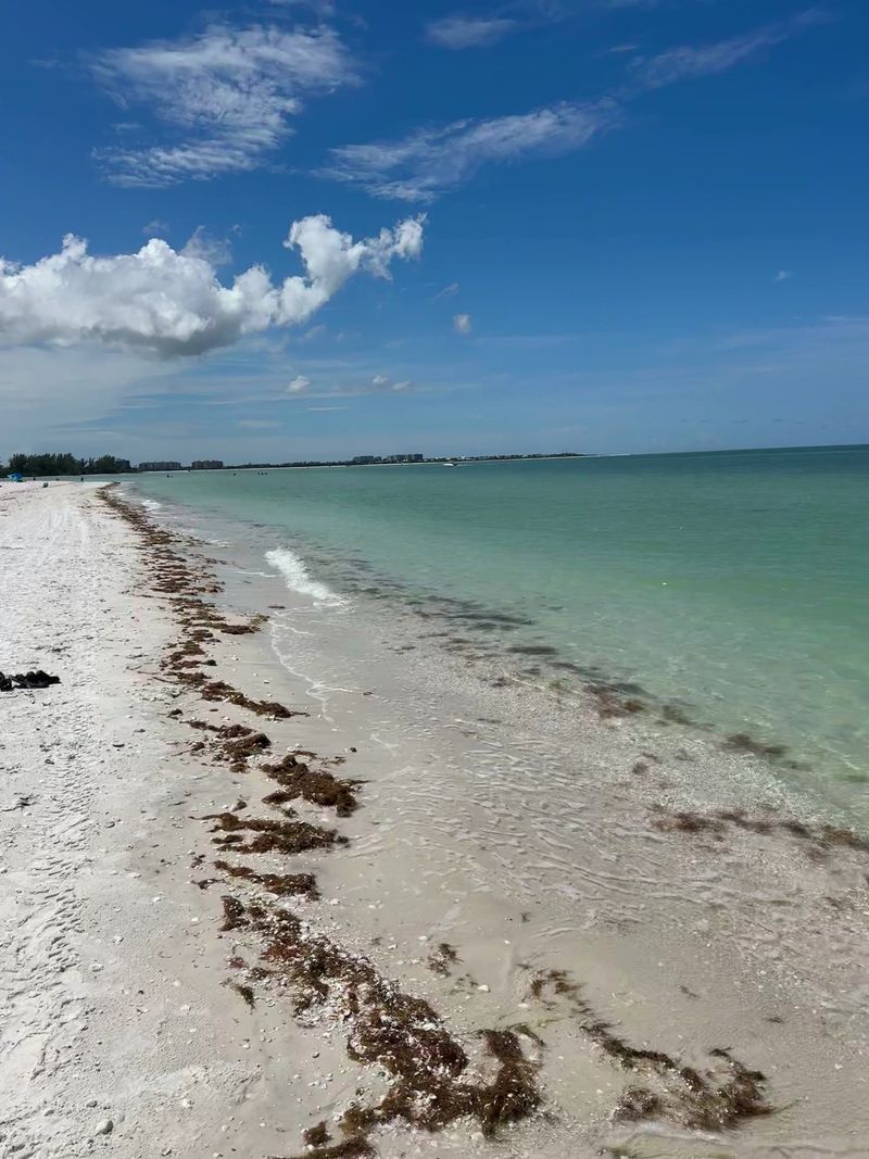 Tide Pools and Sandbars Worth Exploring Tide Pools and Sandbars Worth Exploring