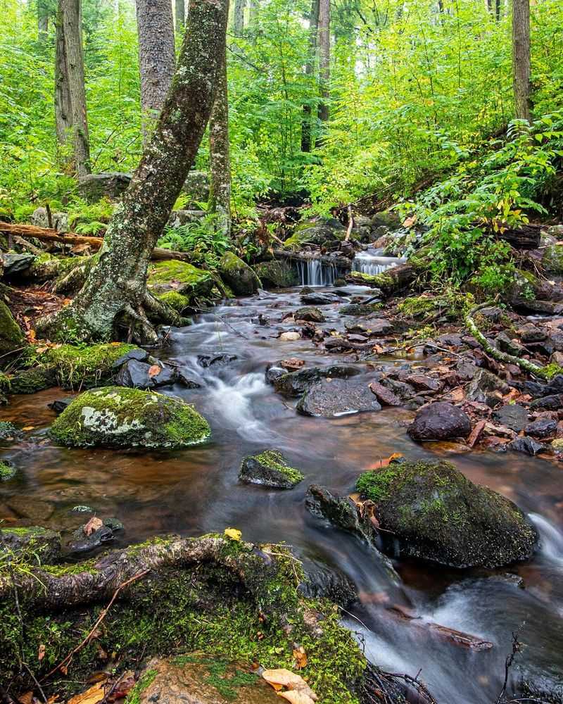 Tillman Ravine Falls, Walpack, New Jersey