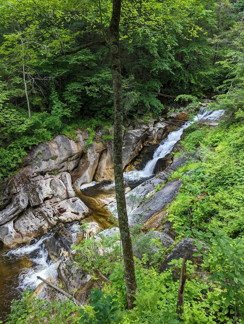 Timing Your Visit For Peace And Quiet