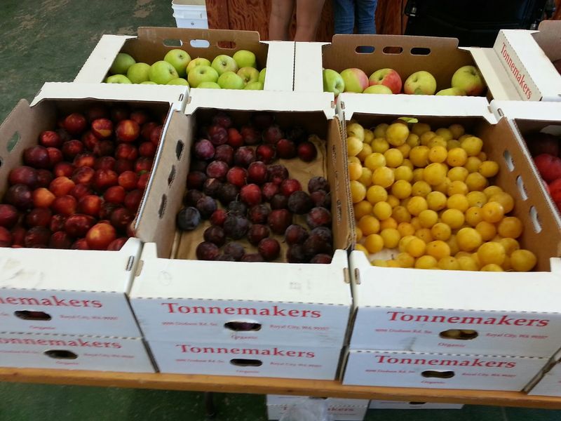 Tonnemaker Hill Farm, Royal City