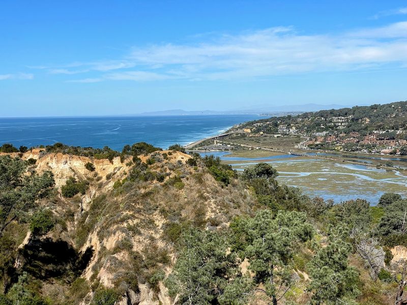 Torrey Pines State Natural Reserve - San Diego