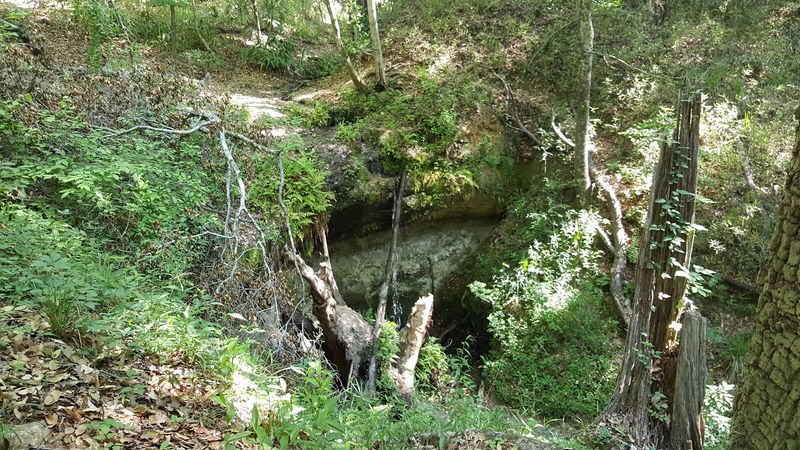 Torreya State Park, Bristol, Florida