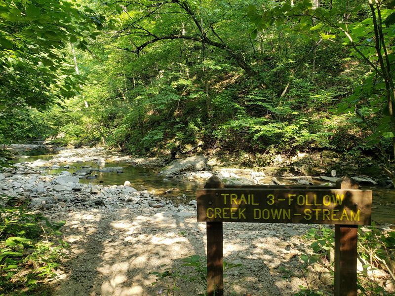 Trail 3 and the Art of the Rock Scramble