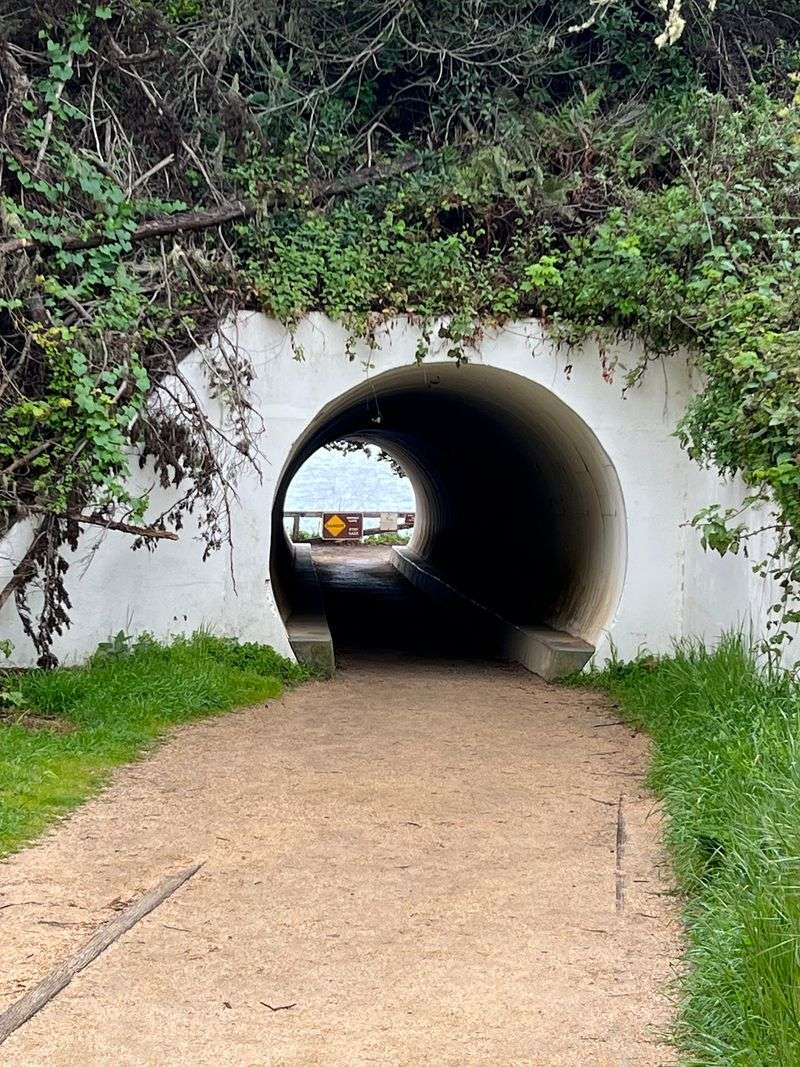 Trail Closures and Planning Ahead Trail Closures and Planning Ahead