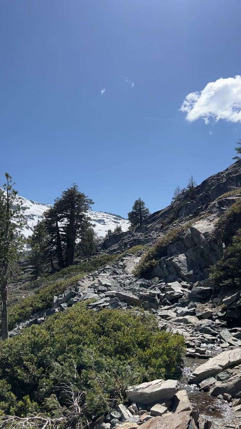 Trail Conditions and What to Expect Underfoot