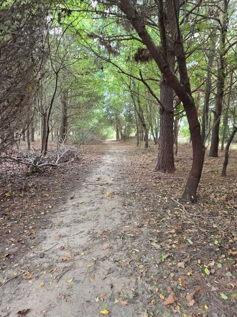 Trail Difficulty and Who It Is Perfect For