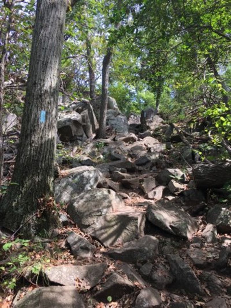 Trail Options for Every Skill Level Trail Options for Every Skill Level