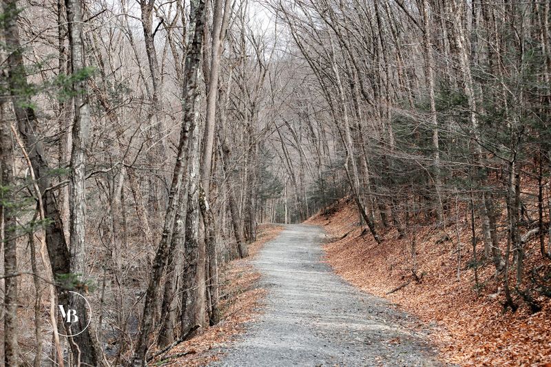 Trail Overview: What to Expect on the Walk In