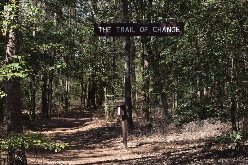 Trails, A Pool, And The Nature Center