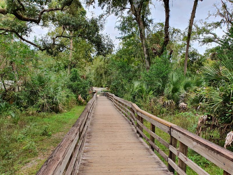 Trails And Boardwalks Through The Hardwood Hammocks