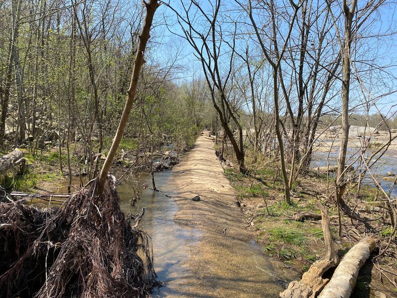 Trails, Beaches, And A Beach For Little Ones