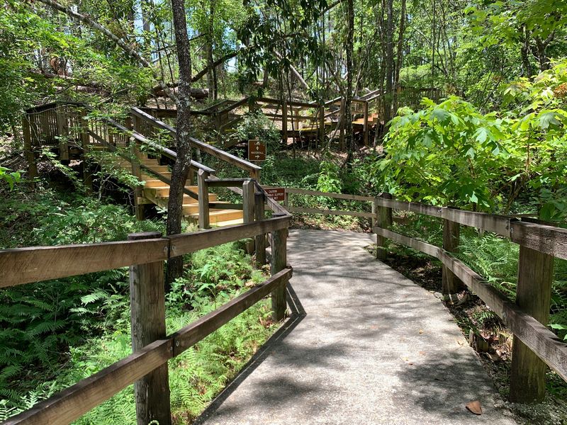 Trails, Boardwalks, and a Quiet Lake to Circle Trails, Boardwalks, and a Quiet Lake to Circle