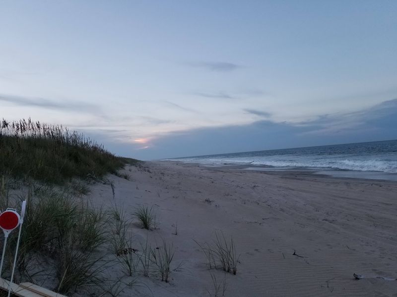 Trails, Dikes, And Deep Sand