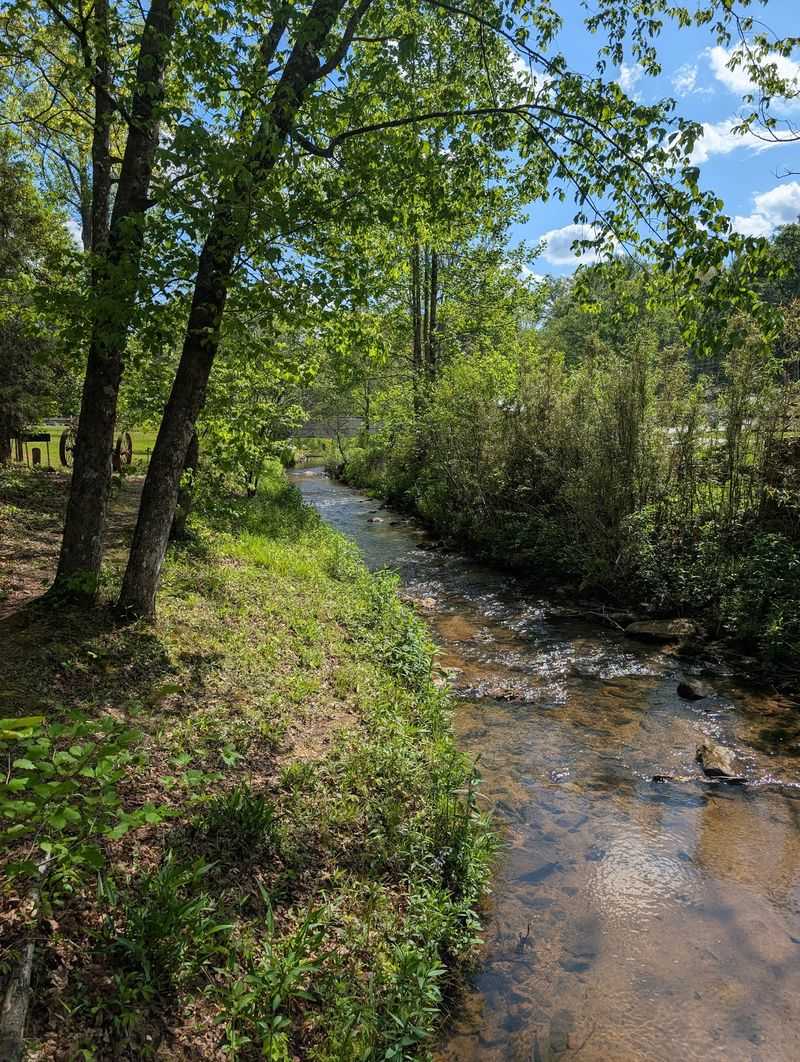 Trails, Disc Golf, and Room to Roam