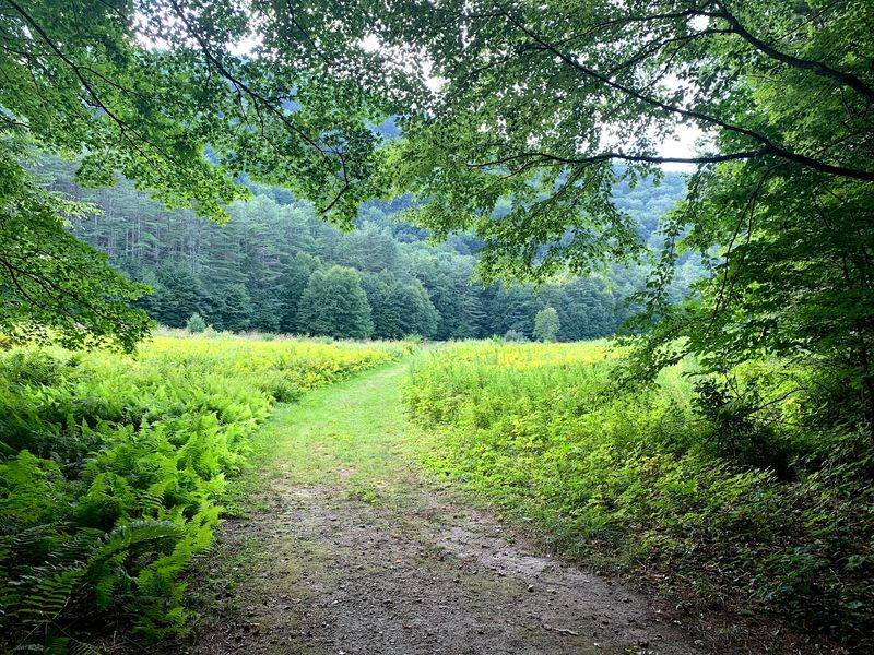 Trails For Beginners And Wanderers Alike Trails For Beginners And Wanderers Alike