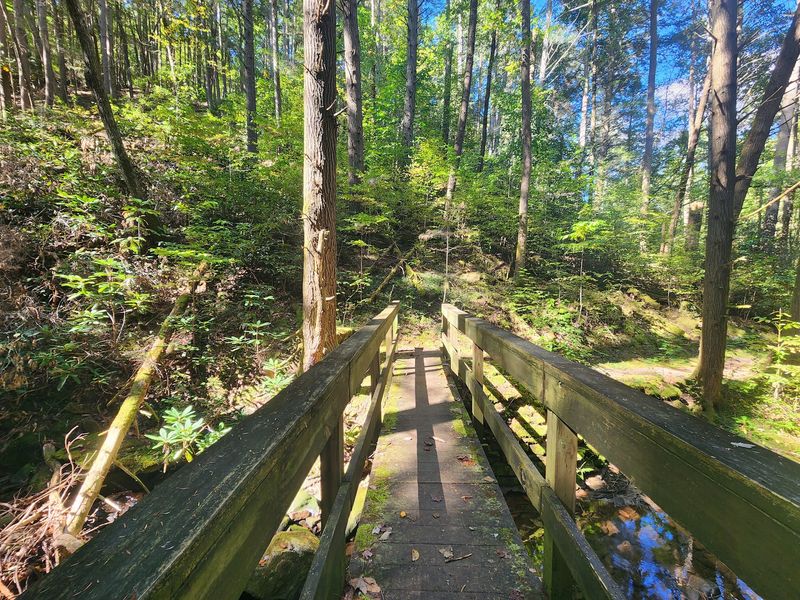 Trails For Every Kind Of Hiker