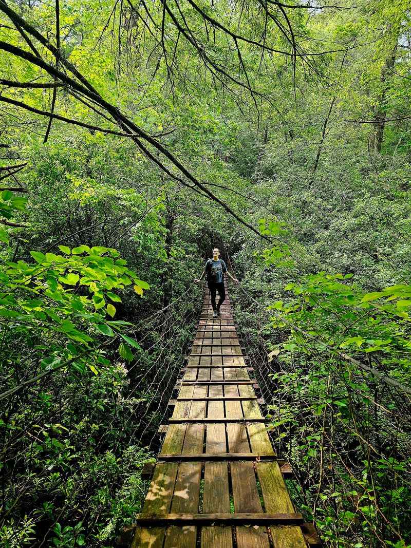 Trails For Every Kind Of Hiker Trails For Every Kind Of Hiker