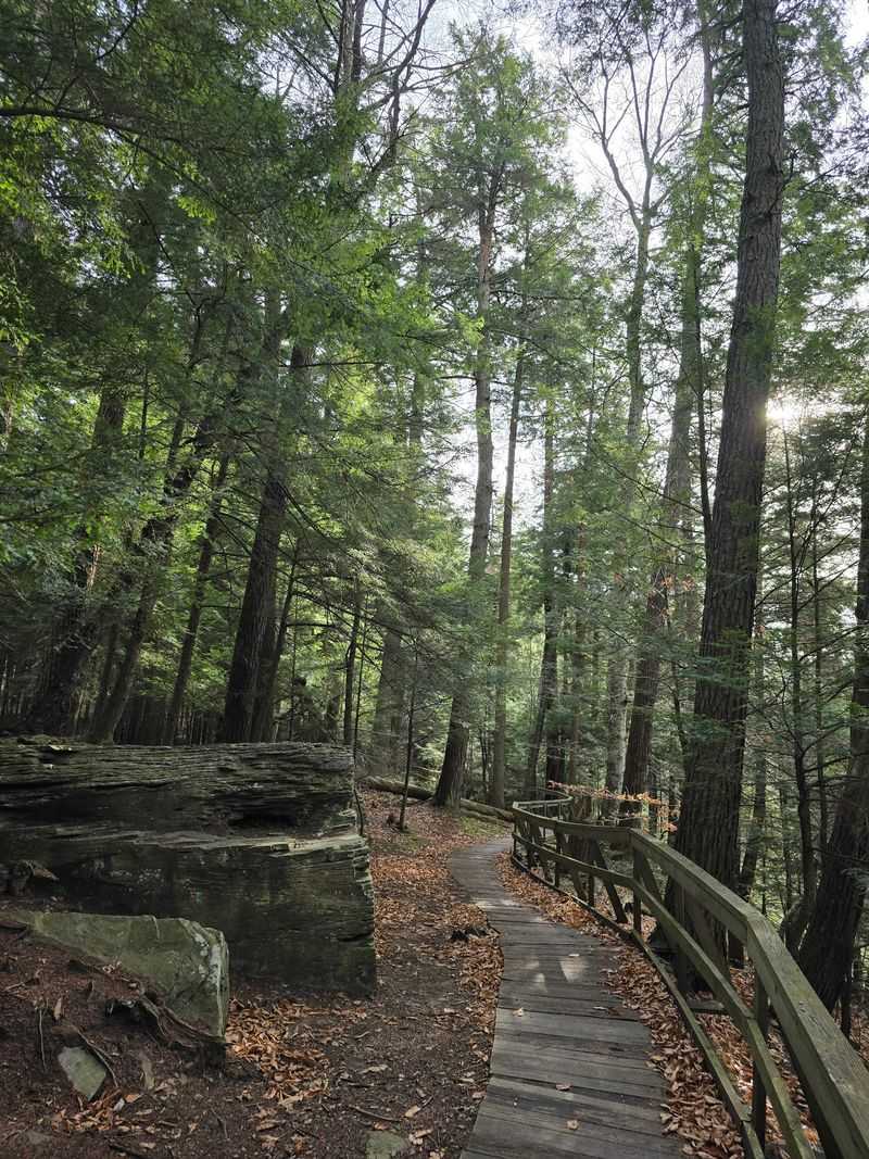 Trails For Every Kind Of Walker Trails For Every Kind Of Walker