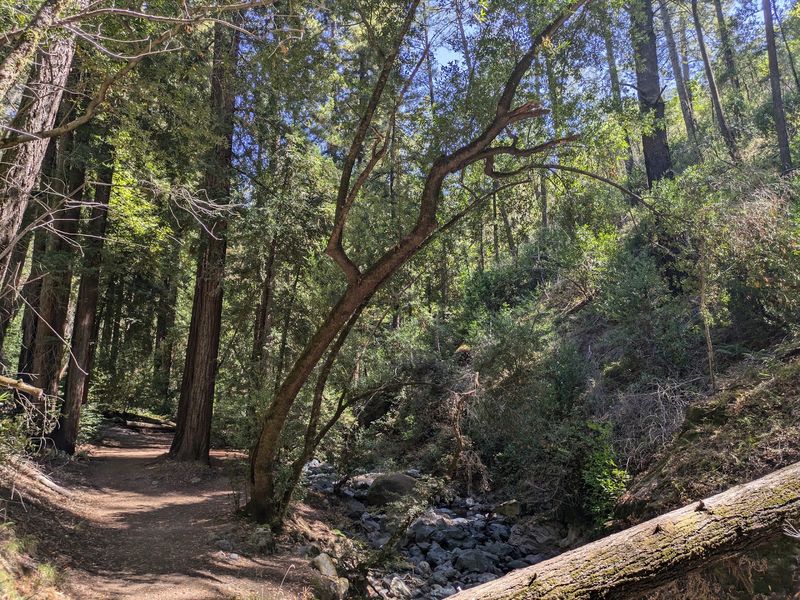 Trails For Every Kind Of Walker Trails For Every Kind Of Walker