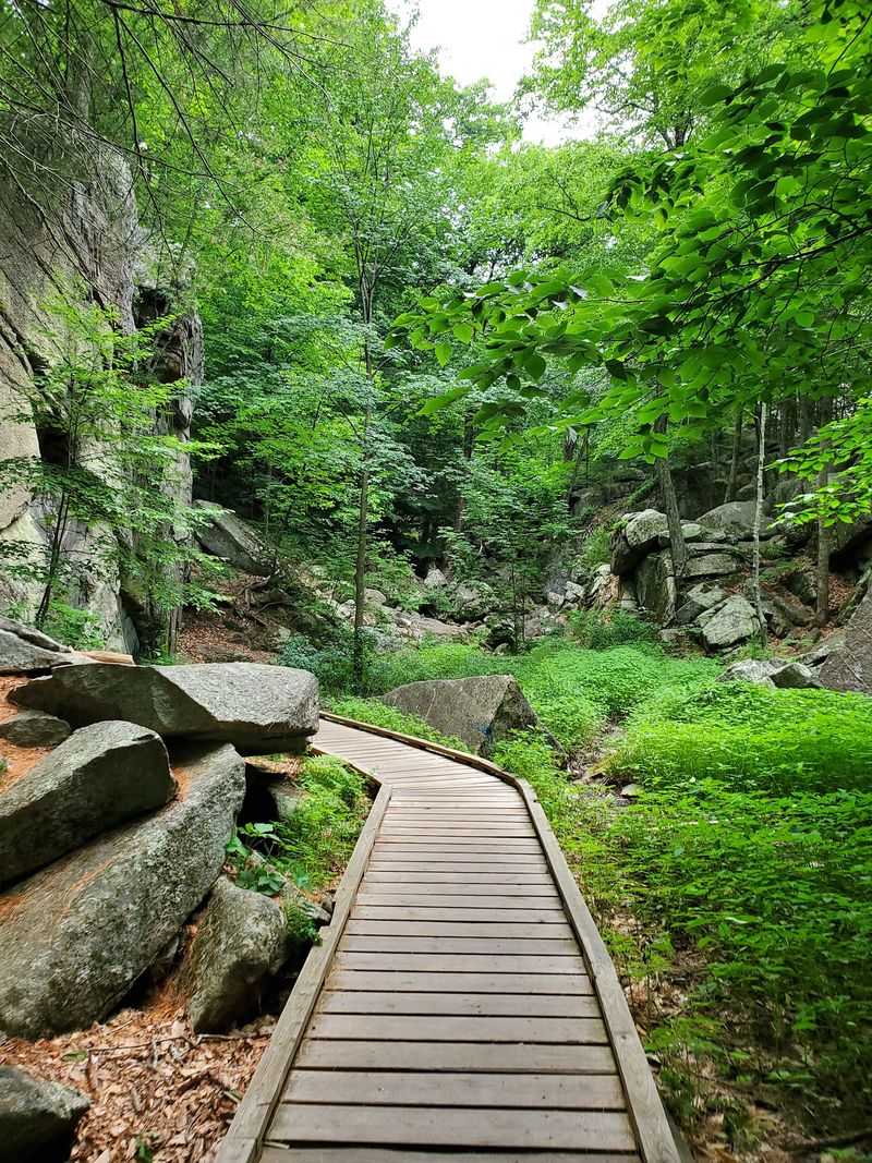 Trails For Every Kind Of Walker Trails For Every Kind Of Walker