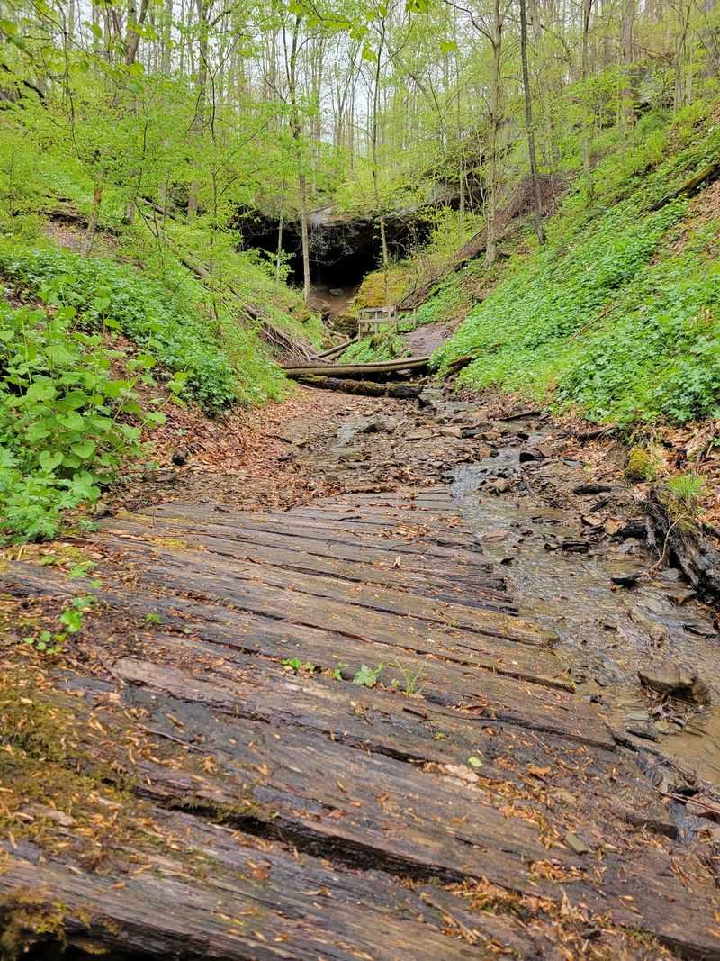 Trails For Every Kind Of Walker