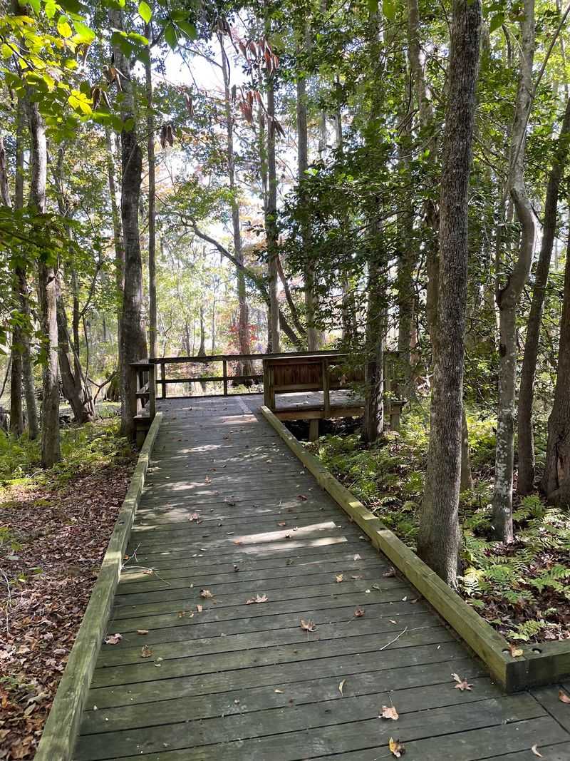 Trails For Every Pair Of Legs