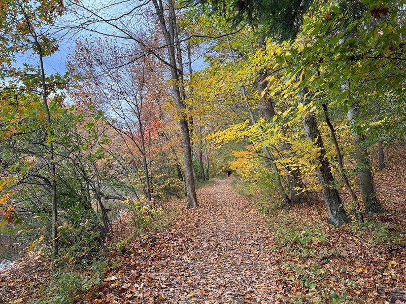 Trails For Every Skill Level