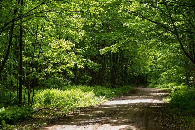 Trails For Hikers And Explorers