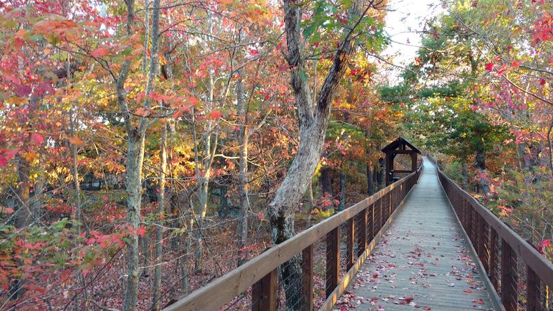 Trails For Sunday Strollers And Serious Legs