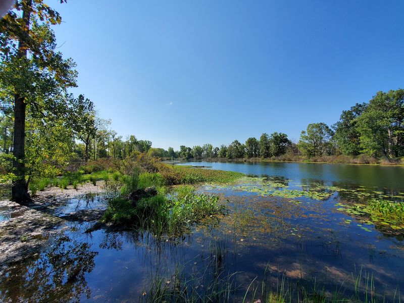 Trails For Walkers, Bikers, And Everyone Between Trails For Walkers, Bikers, And Everyone Between