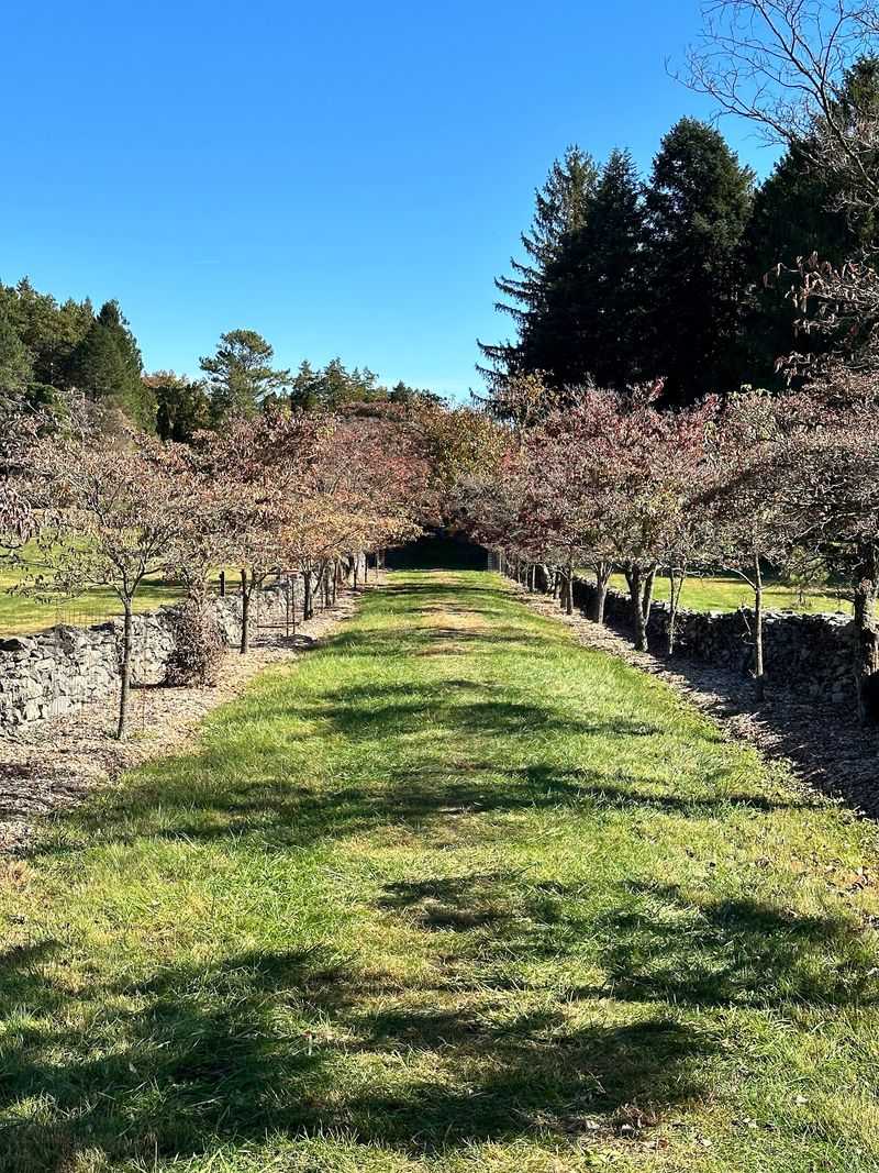 Trails, Ponds, and Room to Wander