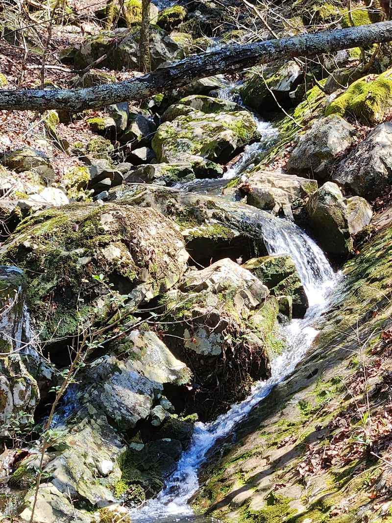 Trails That Belong Only To You
