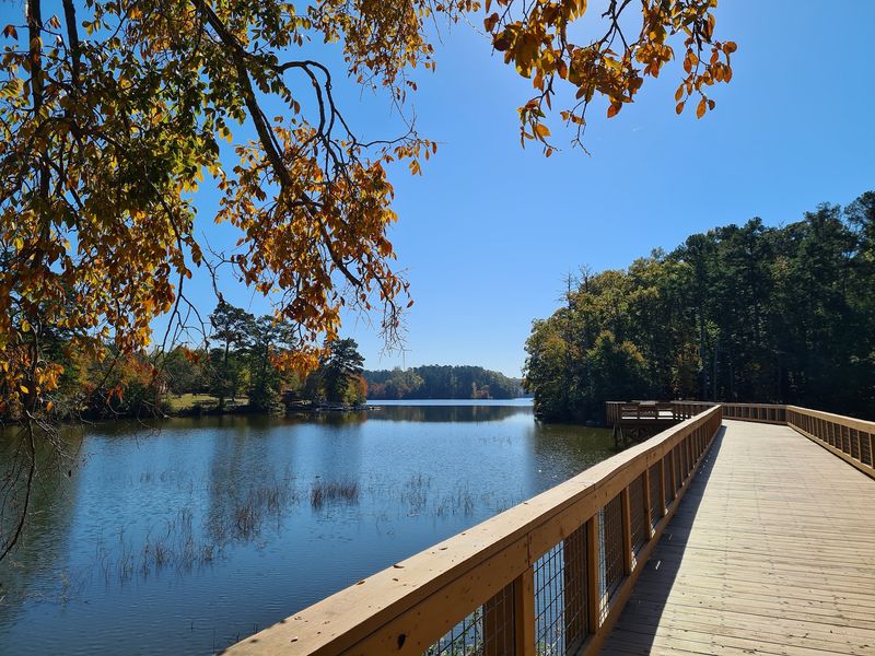 Trails That Loop The Whole Lake