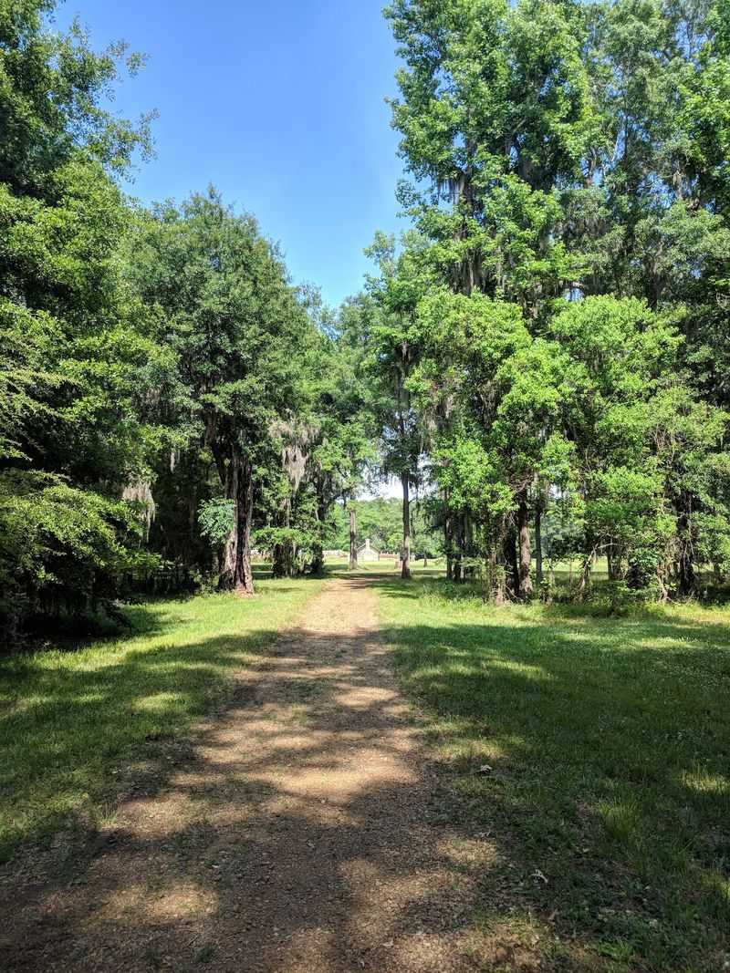 Trails That Loop You Through Time