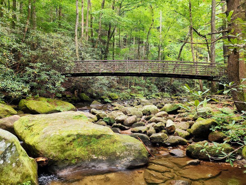 Trails That Mean Business Trails That Mean Business