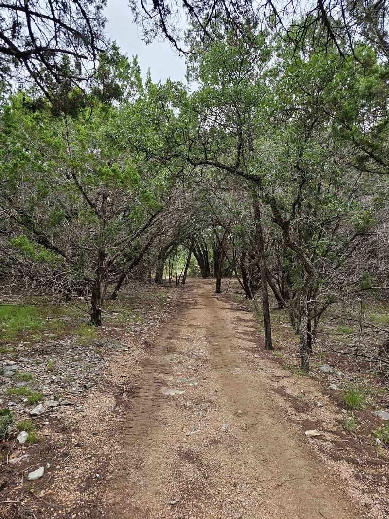 Trails That Suit Almost Everyone Trails That Suit Almost Everyone