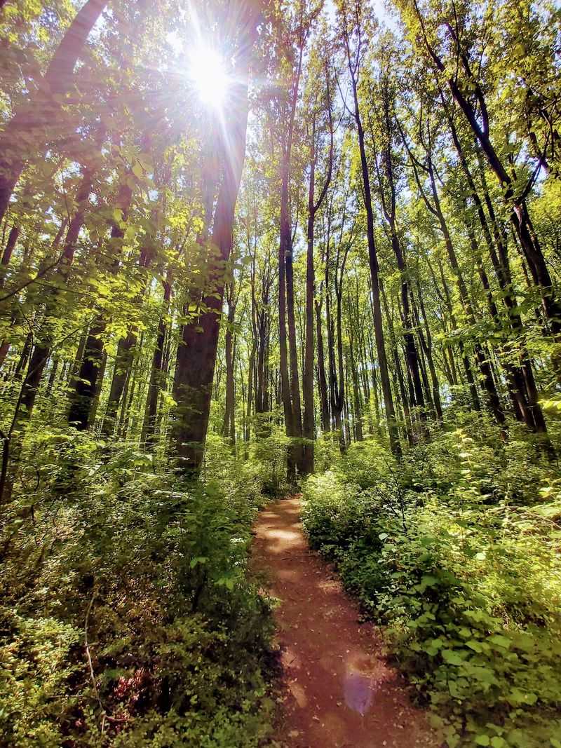Trails That Suit Every Pace Trails That Suit Every Pace