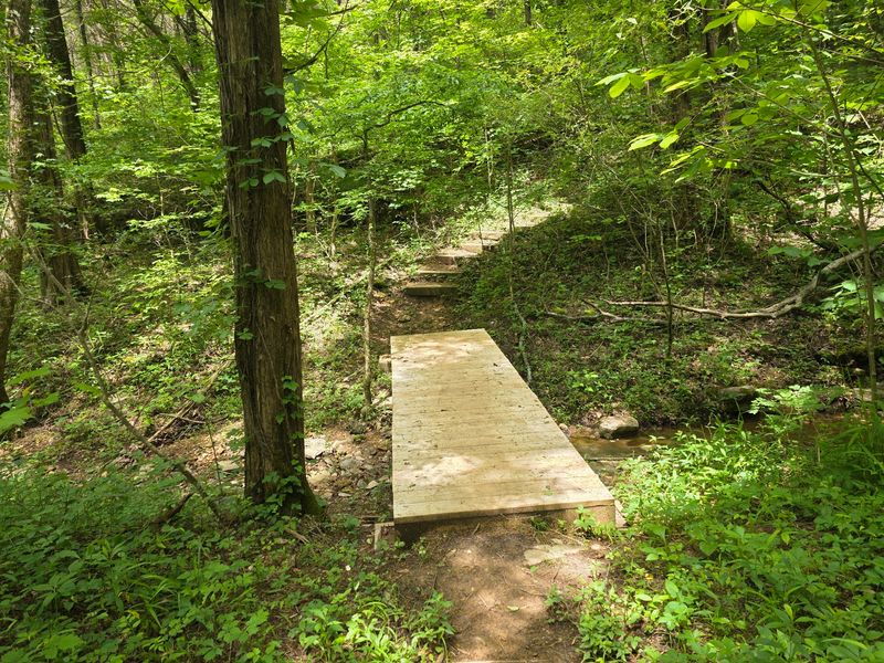 Trails That Test Your Legs