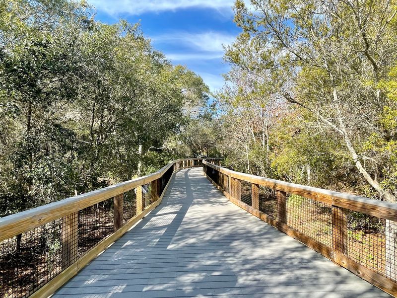 Trails That Welcome Every Kind of Walker