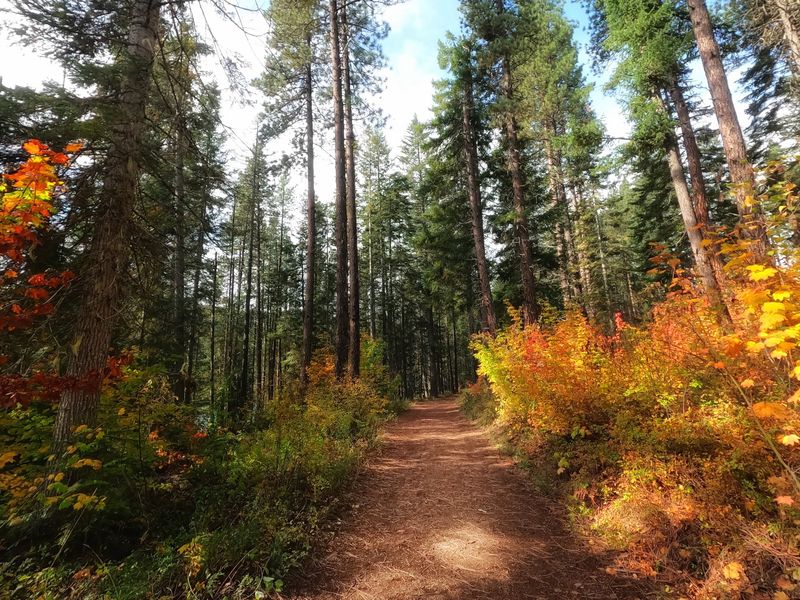 Trails That Welcome Every Skill Level Trails That Welcome Every Skill Level