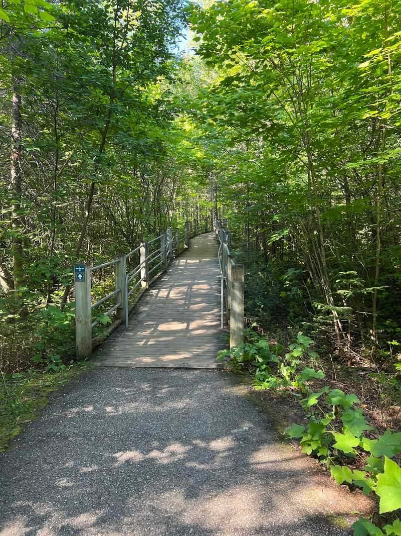Trails That Welcome Everyone Trails That Welcome Everyone