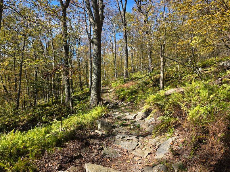 Trails That Wind Through Meadow Mountain Trails That Wind Through Meadow Mountain