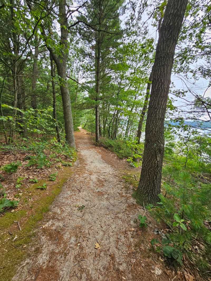 Trails Through Forest and Meadow Trails Through Forest and Meadow