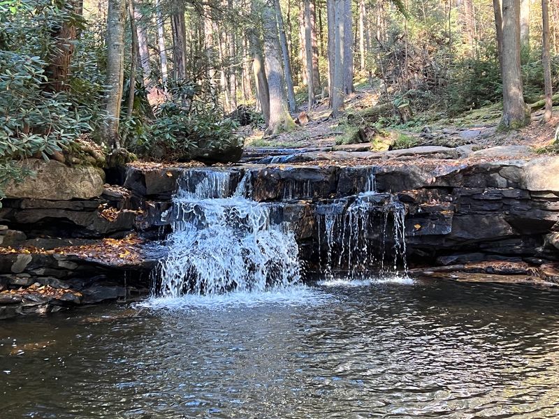 Trails, Waterfalls, And Nearby State Parks