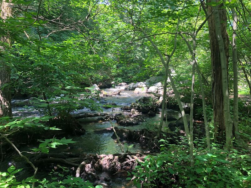 Trails, Waterfalls, and Hidden Ruins